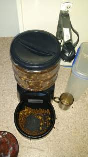 Cat Feeder Complete